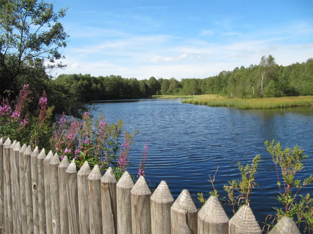 Andachtsbild von Uschi miT Seelenkatzen Jojo und Merlin