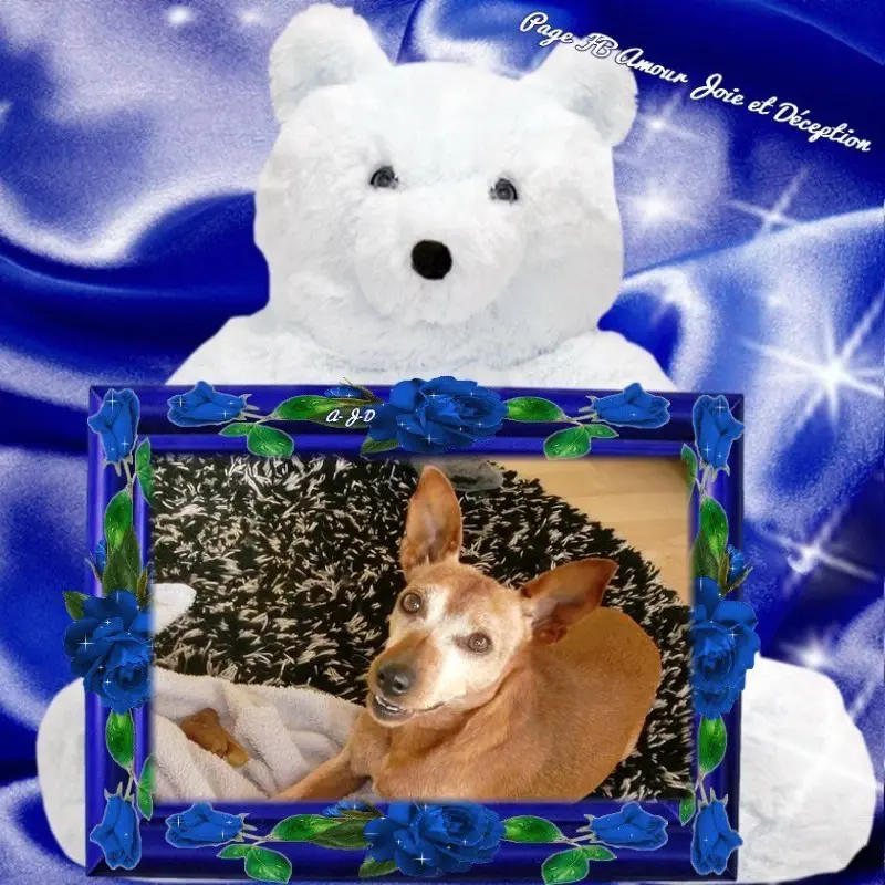 Andachtsbild von ❤️❤️❤️