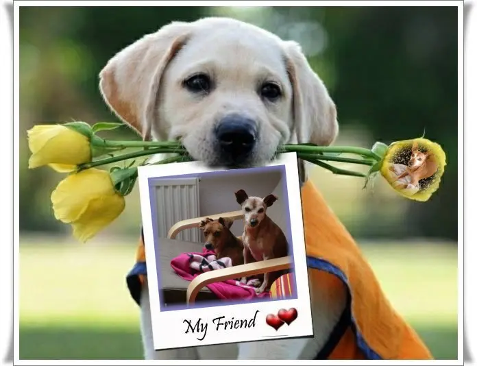 Andachtsbild von ❤️❤️❤️