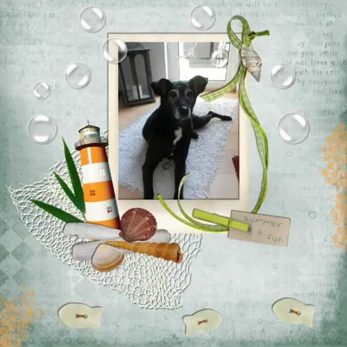 Andachtsbild von Unbekannt