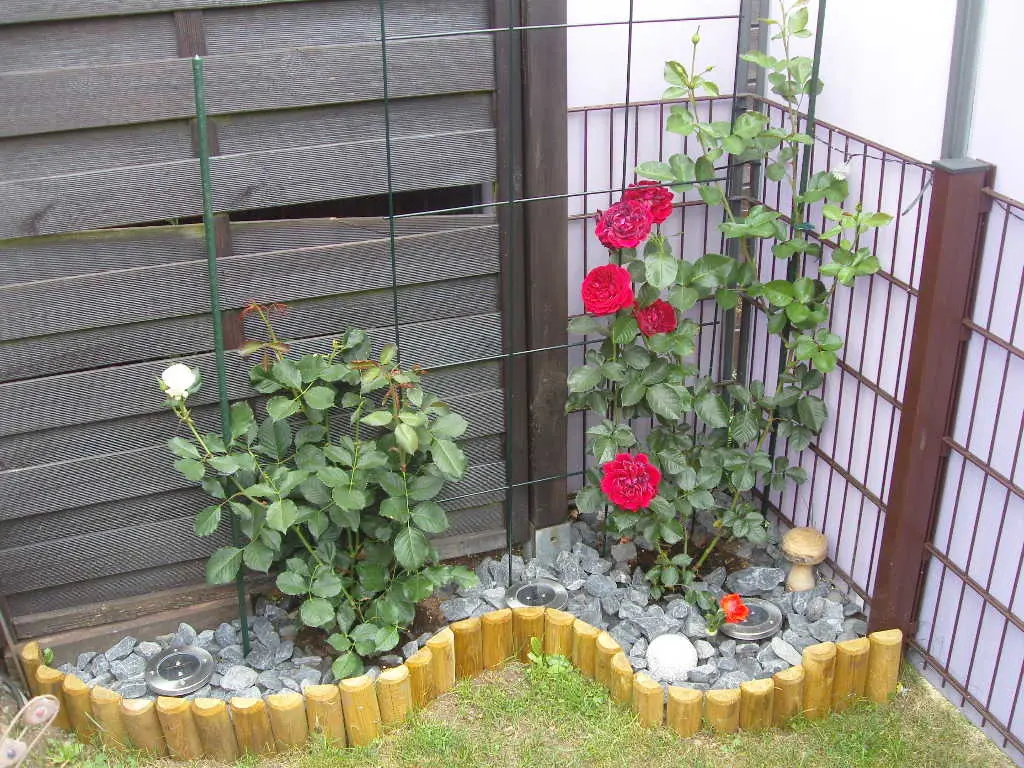 Andachtsbild von Marlies mit Pietsch im Herzen