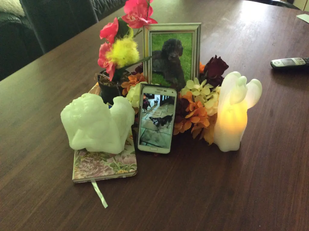 Andachtsbild von Heidi 