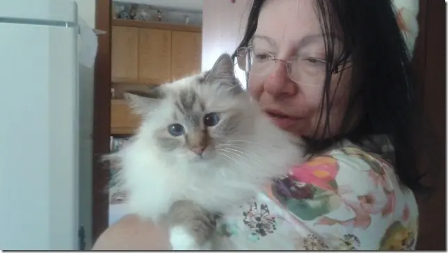 Andachtsbild von Uschi mit Seelenkatzen Jojo und Merlin