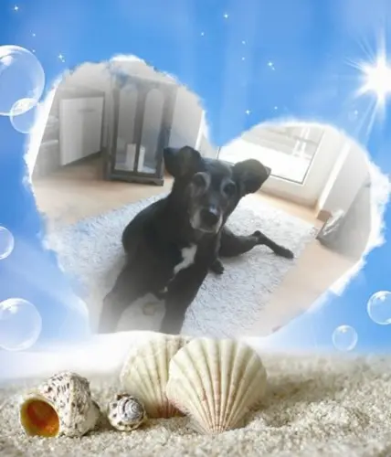 Andachtsbild von Unbekannt