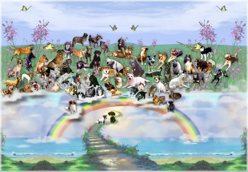 Andachtsbild von Michaela mit Nicko und Ariane ganz tief im ❤