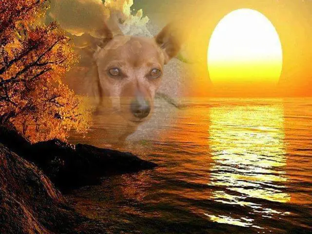 Andachtsbild von ❤️❤️❤️