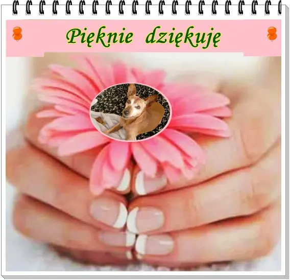 Andachtsbild von ❤️❤️❤️