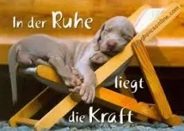 Andachtsbild von Brigitte mit Nelly, Benny und Axel im Herzen