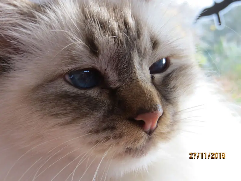 Andachtsbild von Uschi