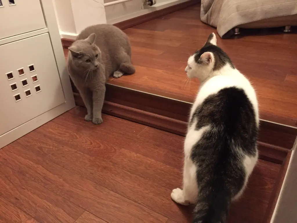 Andachtsbild von Susanne mit Cedric im Herzen