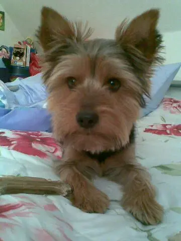 Andachtsbild von Andrea  mit Charly im Herzen ❤