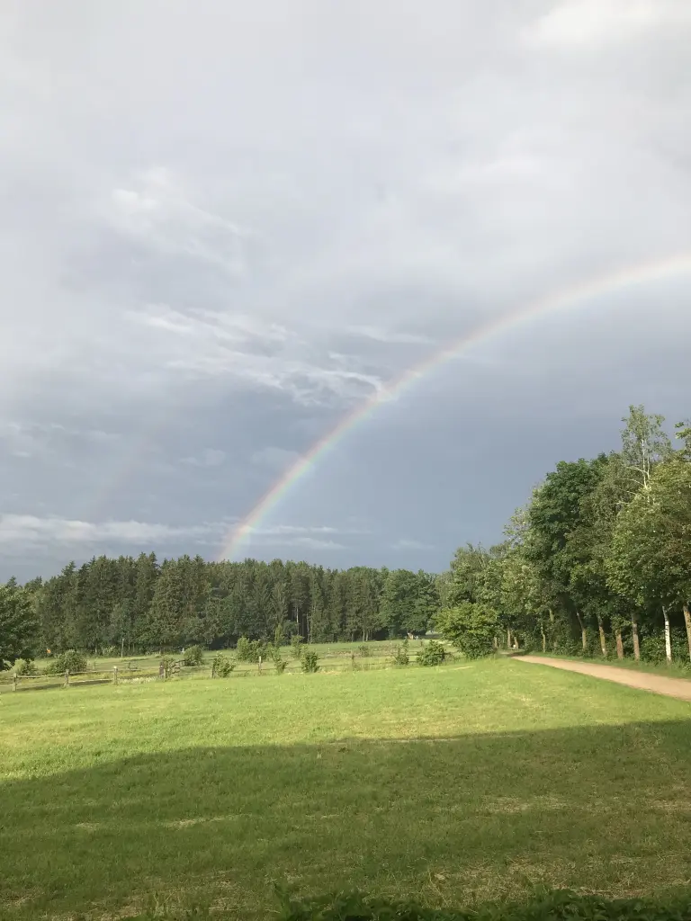 Andachtsbild von Susanne mit Rusty im Herzen ♥️ 