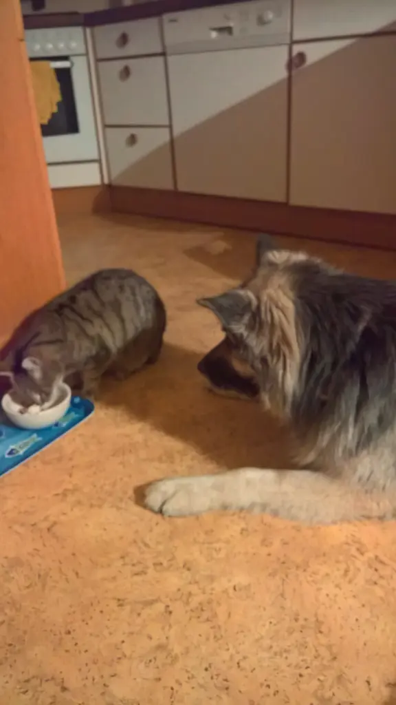 Andachtsbild von Susanne mit Rusty im Herzen