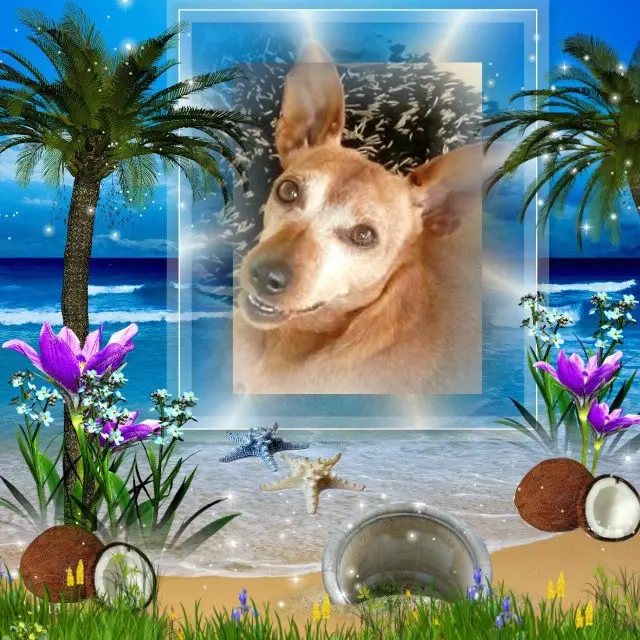 Andachtsbild von ❤️❤️❤️