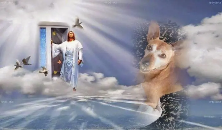 Andachtsbild von ❤️❤️❤️