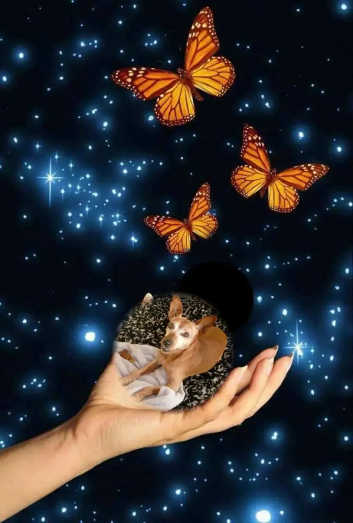 Andachtsbild von Jutta