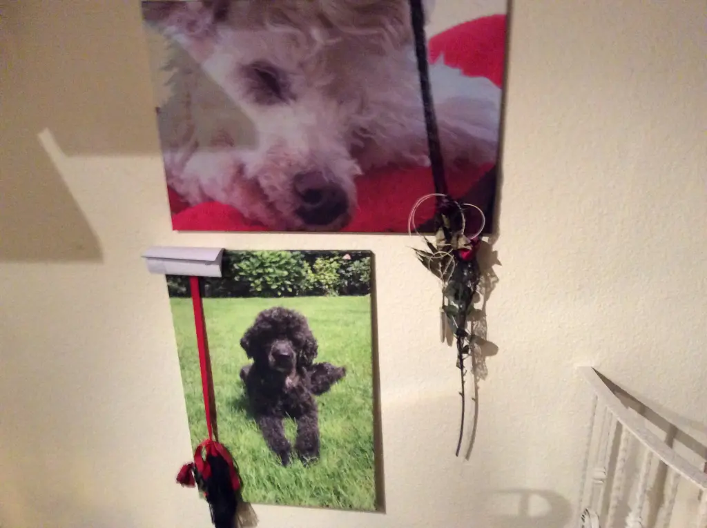 Andachtsbild von Heidi 