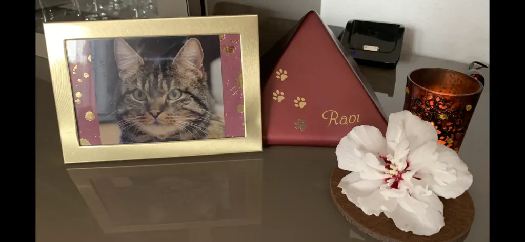 Andachtsbild von Carmen mit Sternenbub Ravi 