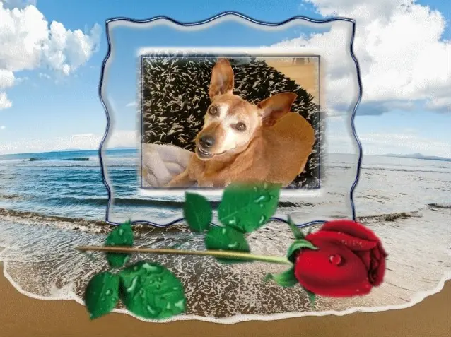 Andachtsbild von ❤️❤️❤️