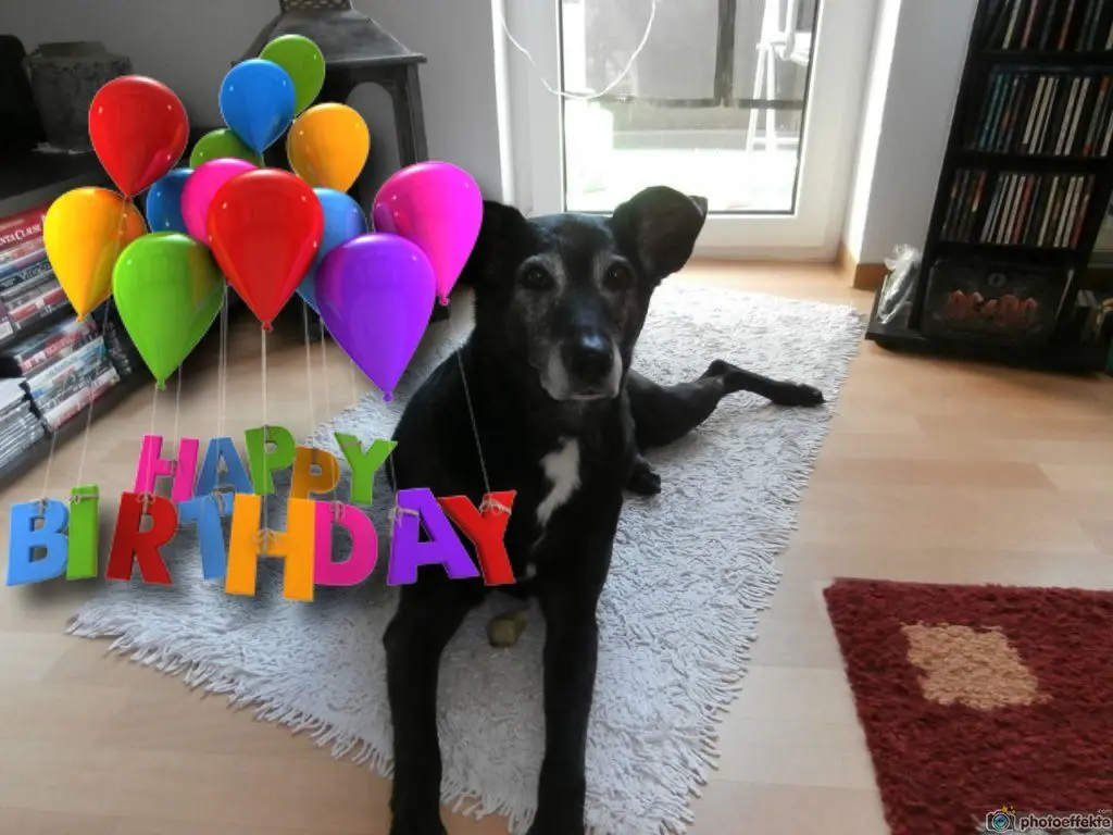 Andachtsbild von Unbekannt