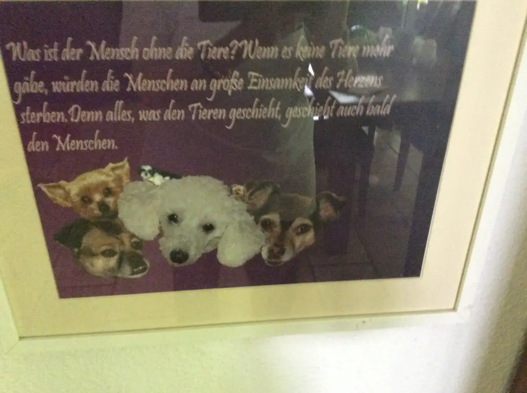 Andachtsbild von Heidi