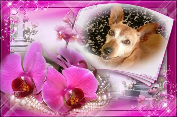 Andachtsbild von ❤️❤️❤️