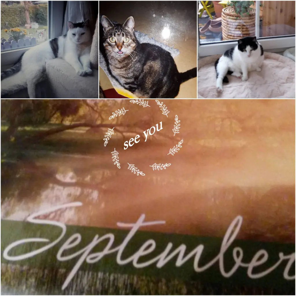 Andachtsbild von Eike und Edeltraud mit Mulle Miezi und Jonny tief im Herzen ♥️