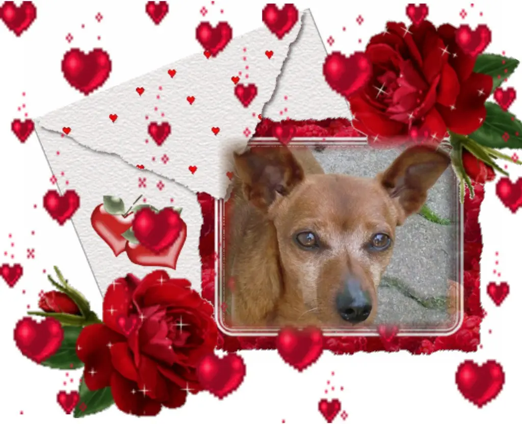 Andachtsbild von ❤️❤️❤️