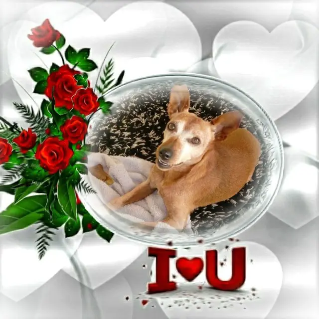 Andachtsbild von ❤️❤️❤️