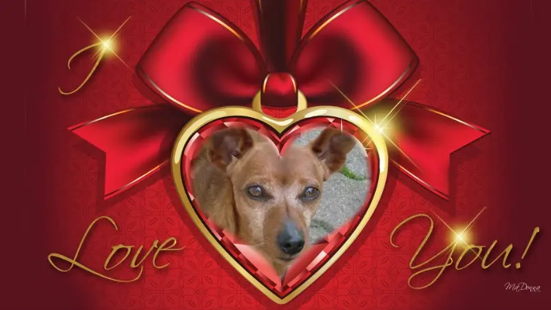 Andachtsbild von ❤️❤️❤️