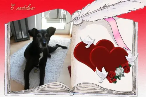 Andachtsbild von Unbekannt