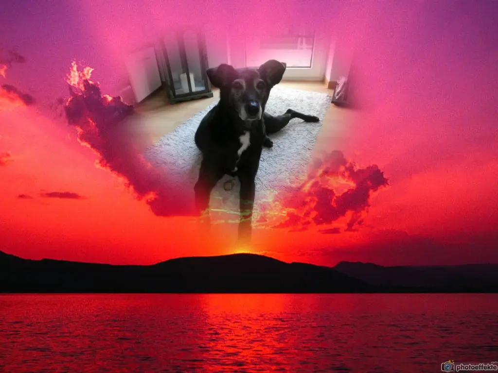 Andachtsbild von Unbekannt