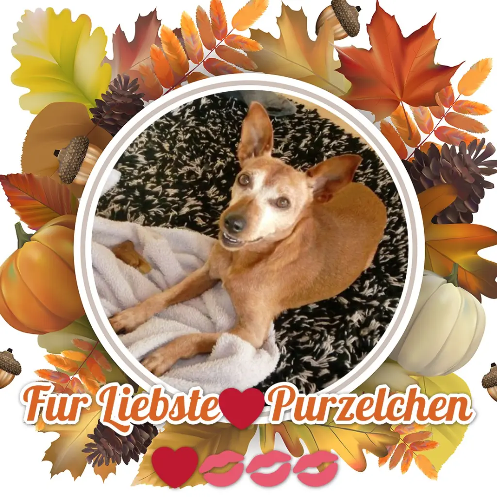 Andachtsbild von ❤️❤️❤️