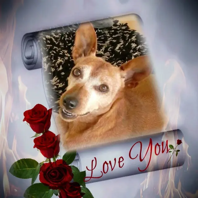 Andachtsbild von ❤️❤️❤️