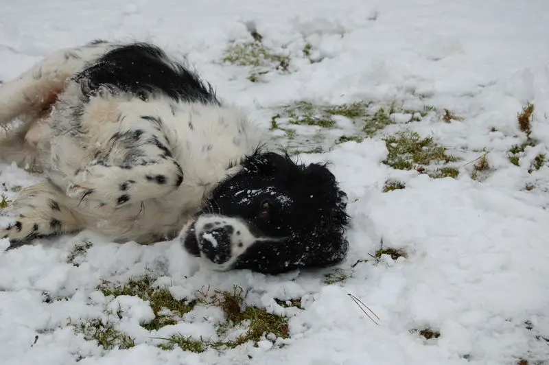 Andachtsbild von Annette mit Biko