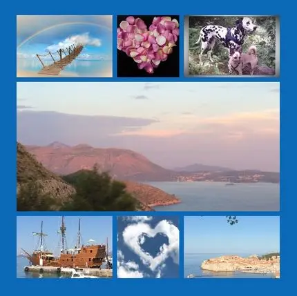 Andachtsbild von Eine Rose für Purzel 