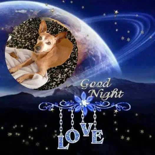 Andachtsbild von ❤️❤️❤️