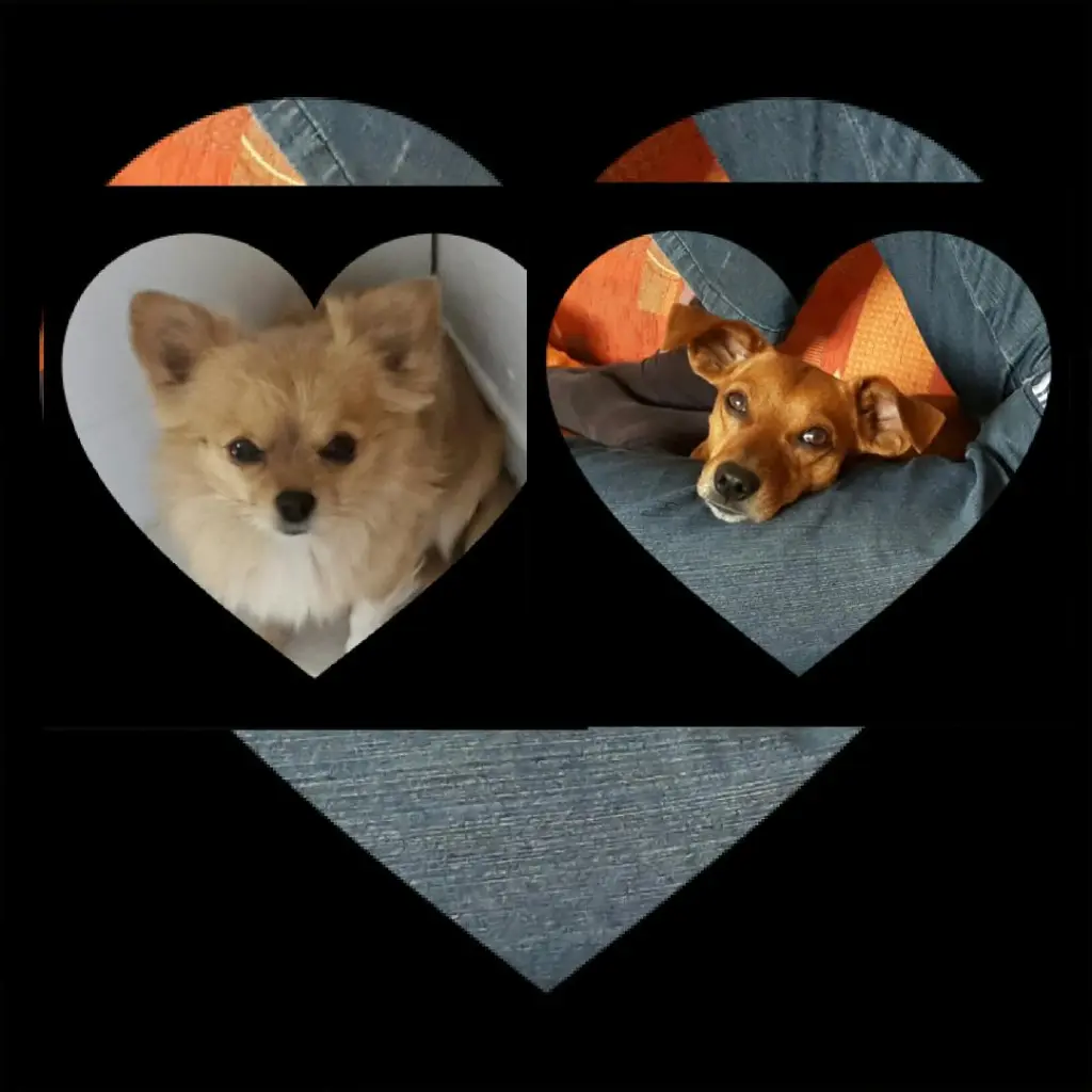 Andachtsbild von Jutta, Axel, Oscarchen und Rocky