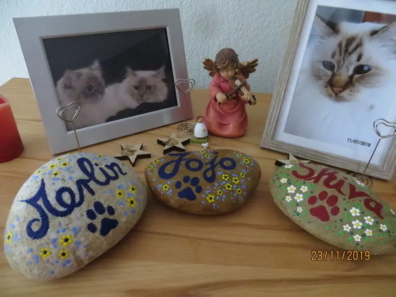 Andachtsbild von Uschi mit Seelenfreunden Shiva, Jojo und Merlin