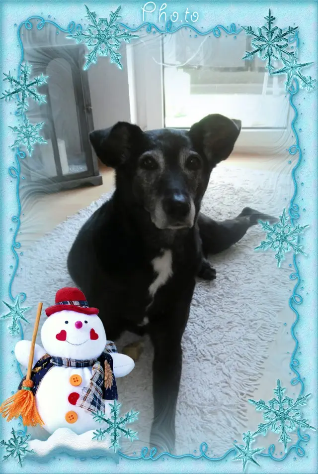 Andachtsbild von Unbekannt