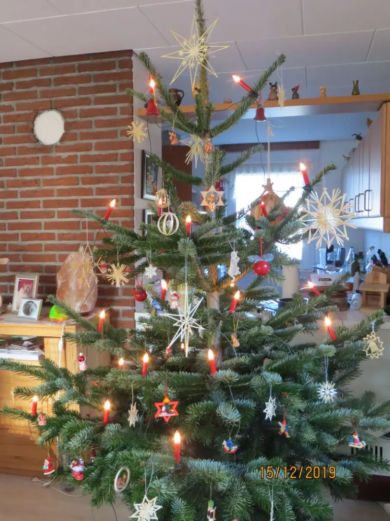 Andachtsbild von Uschi mit Seelenfreunden Shiva, Jojo und Merlin