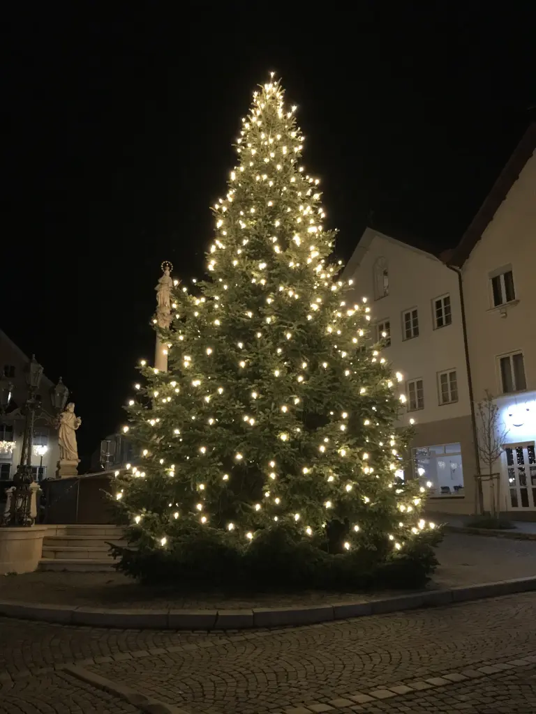 Andachtsbild von Susanne mit Rusty und allen Katzen im Herzen
