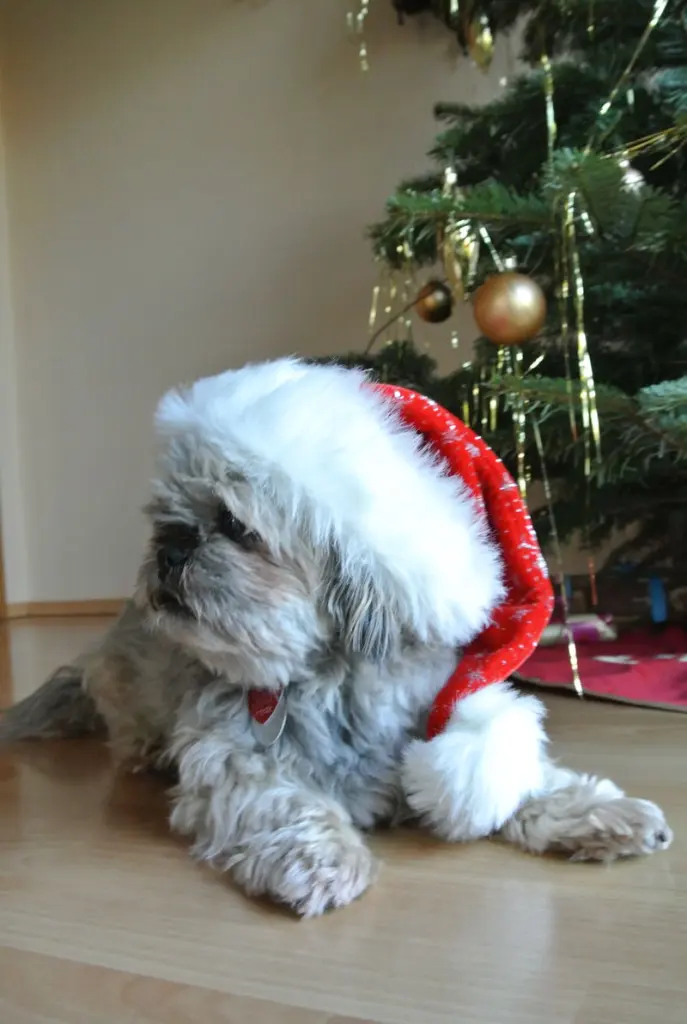 Andachtsbild von Kathrin mit Susi im Herzen