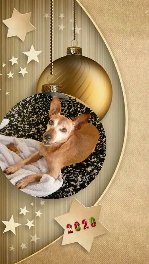 Andachtsbild von ❤️❤️❤️