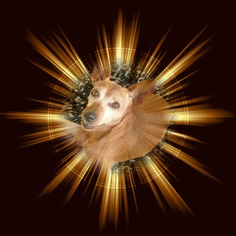 Andachtsbild von ❤️❤️❤️