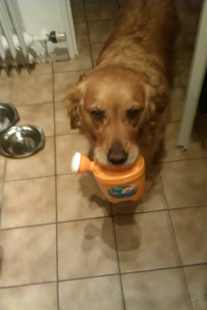 Andachtsbild von Ellen mit Lina ♥️