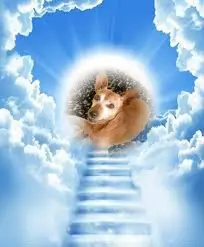 Andachtsbild von ❤️❤️❤️