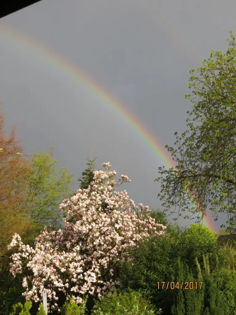 Andachtsbild von Fee, Regenbogenland