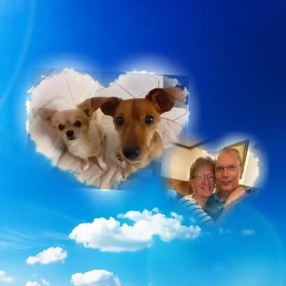 Andachtsbild von Jutta, Axel, Oscarchen und Rocky