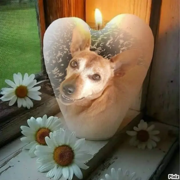 Andachtsbild von ❤️❤️❤️